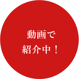 動画で紹介中!